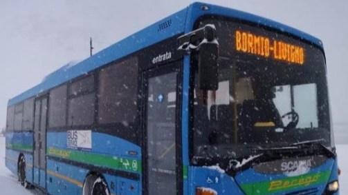 Servizio ski bus