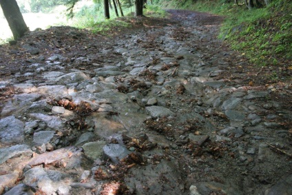 /Rovina della “ bruzzera “ Alpe Canali – Ronco dopo un forte temporale del 30/06/2012