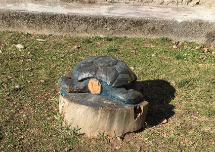 /tartaruga decapitata a Tirano
